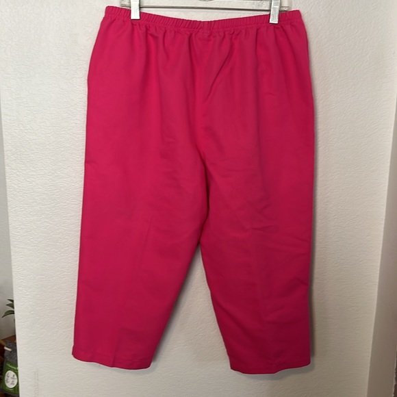 💗HOT PINK ANKLE LENGTH PANTS SZ L 32Wx20L BY BLAIR NWOT EXCELLENT CONDITION! - Picture 5 of 5